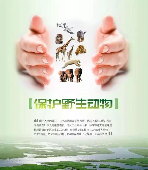 微信图片_20210201221835