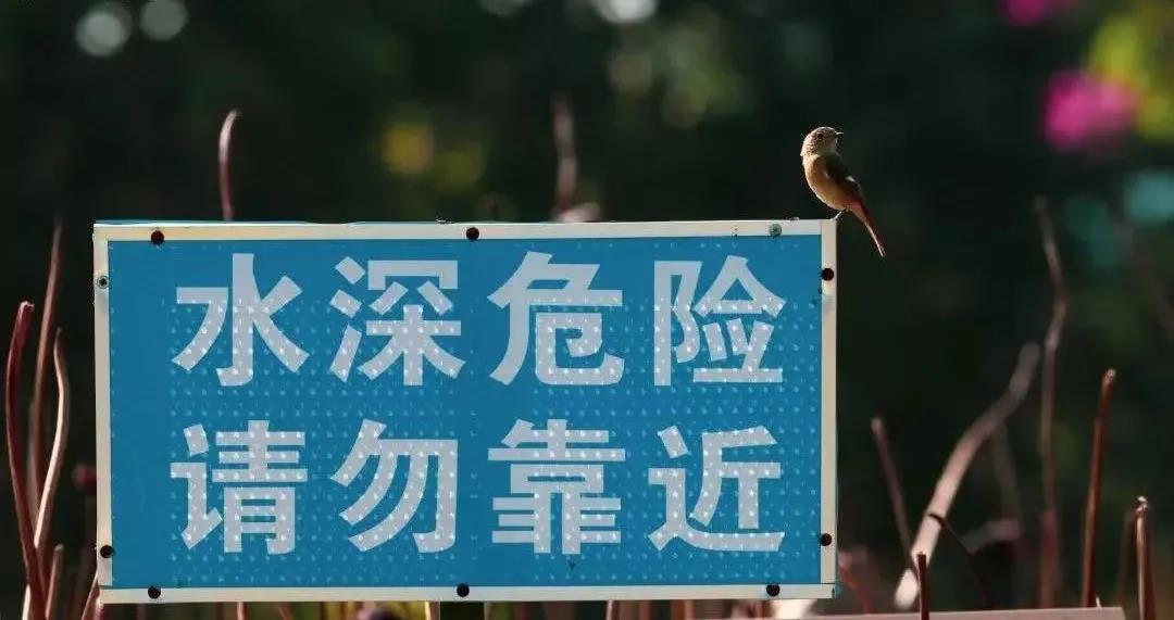 微信图片_20210517142005