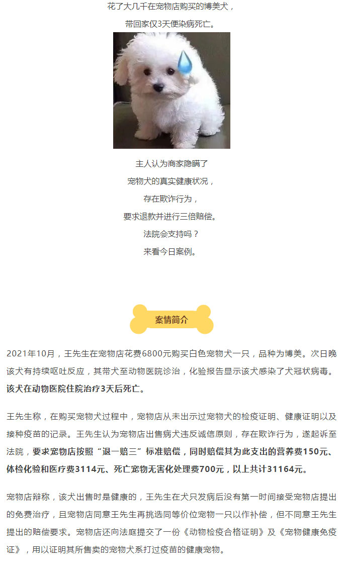 6800元买的宠物犬3天就染病死亡，主人要求商家退一赔三，法院判了_01