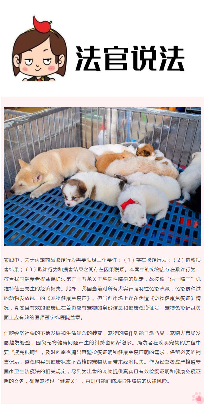6800元买的宠物犬3天就染病死亡，主人要求商家退一赔三，法院判了_03